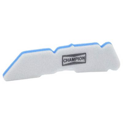 Vzduchový filtr Champion CAF4208DS